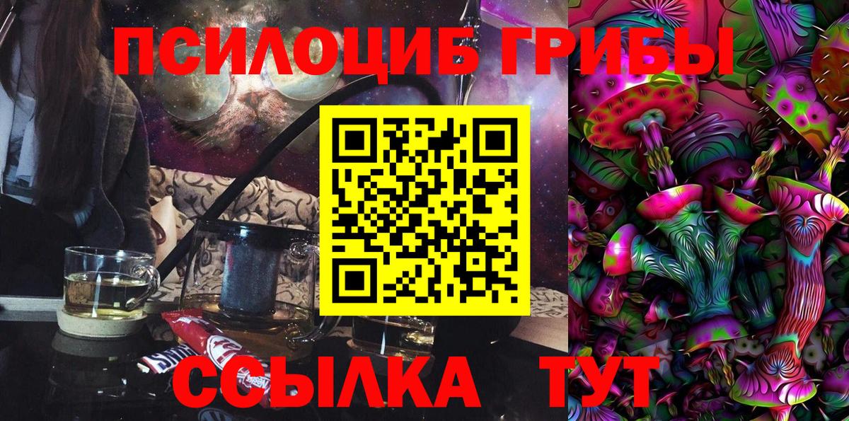 Галлюциногенные грибы ЛСД  Галлюциногенные грибы Psilocybine cubensis  как найти закладки  Вход с VPN  Луга 